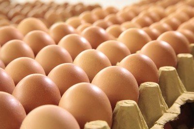 潮州鸡蛋检测价格,鸡蛋检测机构,鸡蛋检测项目,鸡蛋常规检测